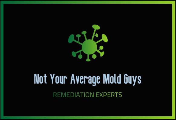 Not Your Average Mold Guys